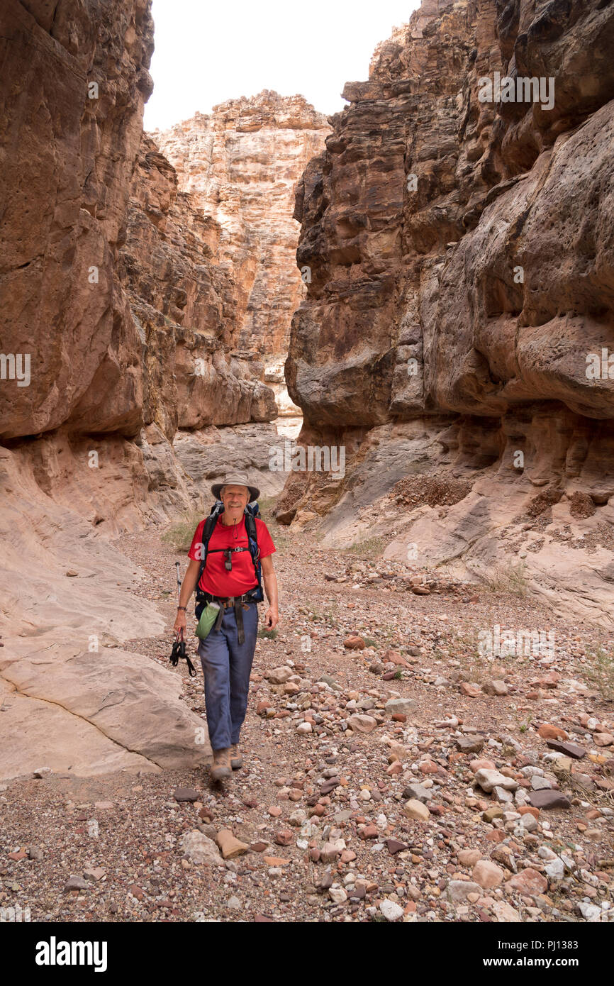 Hiking in the Seventyfive Mile Canyon in the Grand Canyon National Park Stock Photo