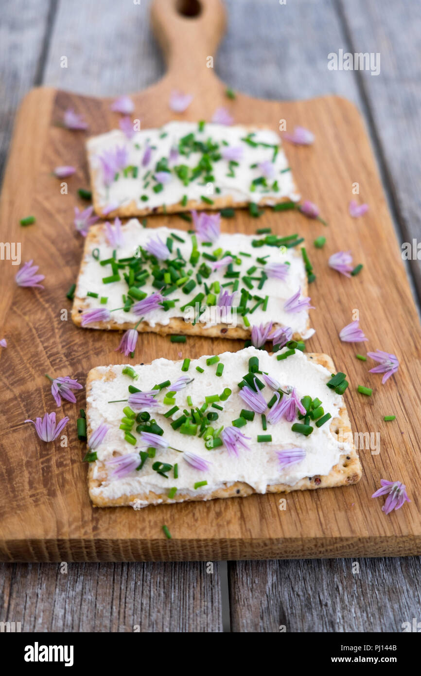 Dairy and lactosefree vegan cream cheese spread made from cashew and