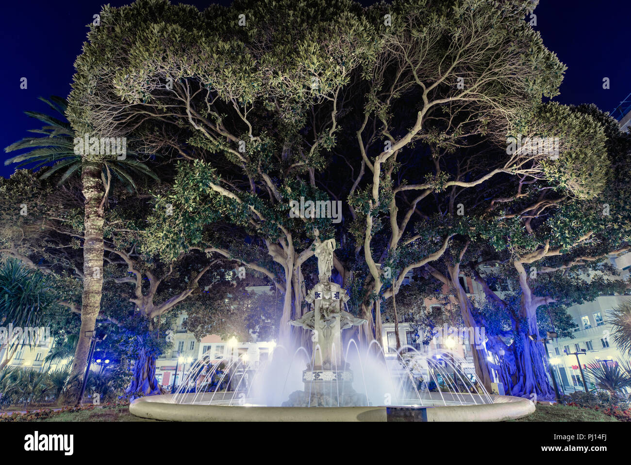 Plaza Gabriel Miro square. Fountain sculpture and giant rubber tree beautifully blue illuminated at night. Alicante city, Costa Blanca. Spain Stock Photo