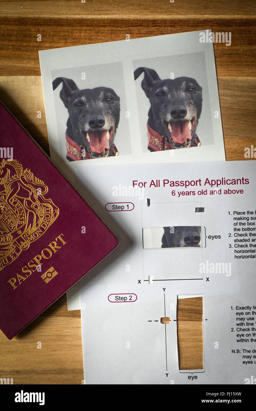 UK Passport Application Guidelines Stock Photo