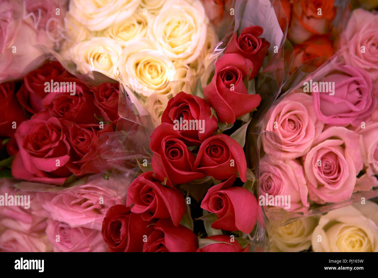 Waitrose florist deals
