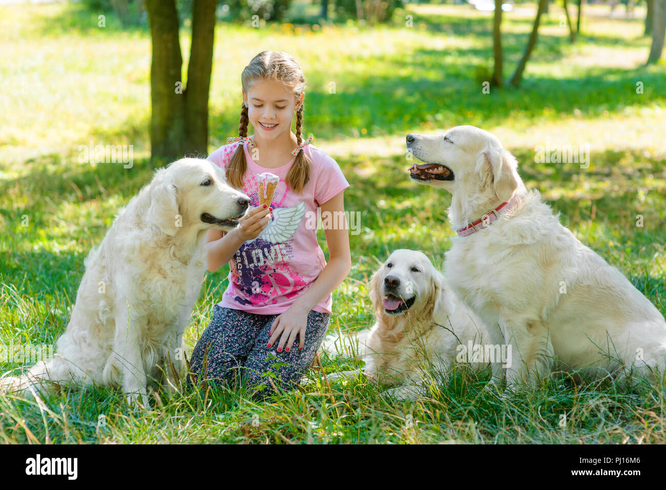 Three Dogs And One Little Girl Stock Photo Alamy