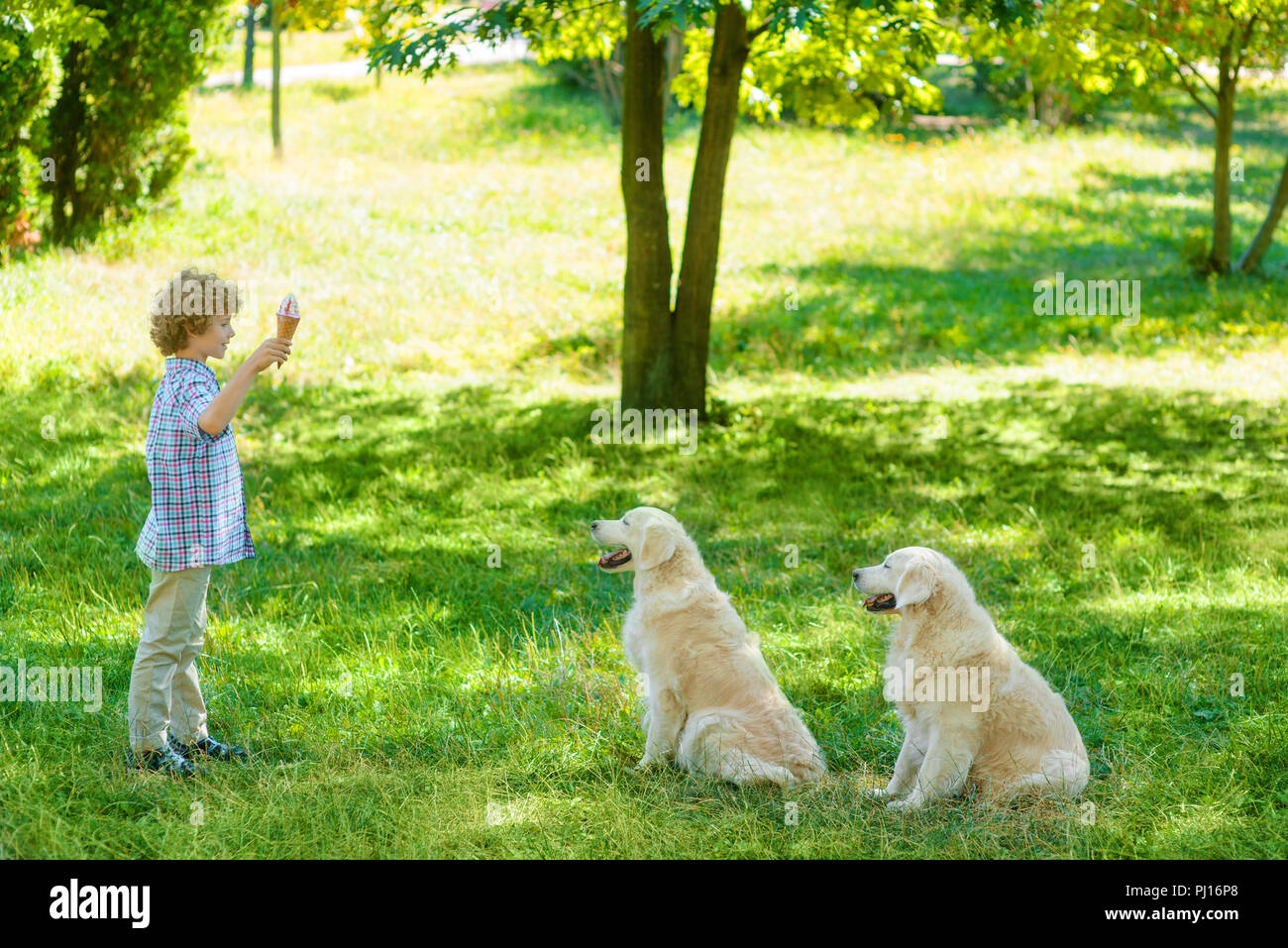 Two Dogs Same Master Two dogs in front of their master Stock Photo - Alamy