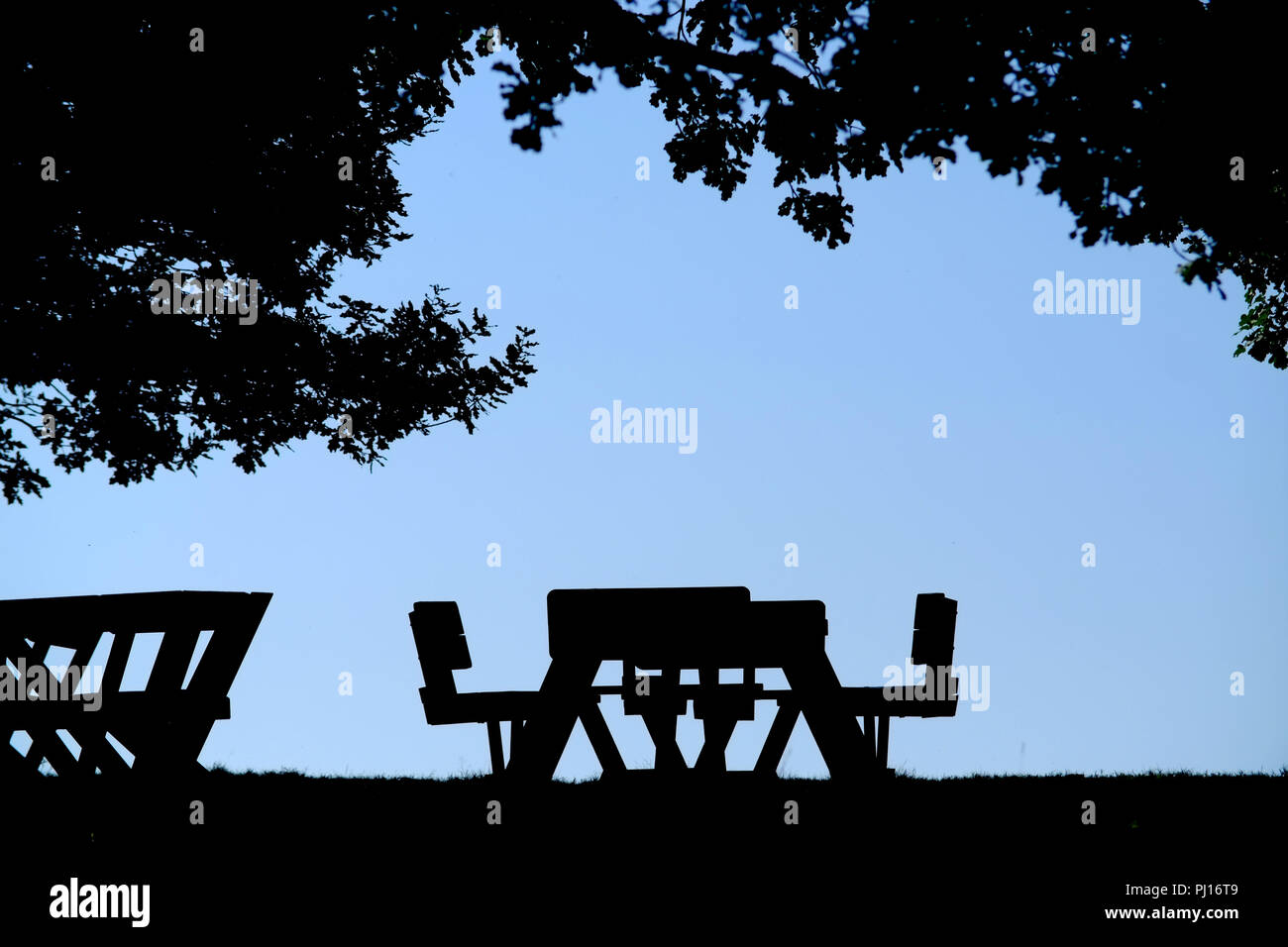 Picnic Table High Resolution Stock Photography And Images Alamy