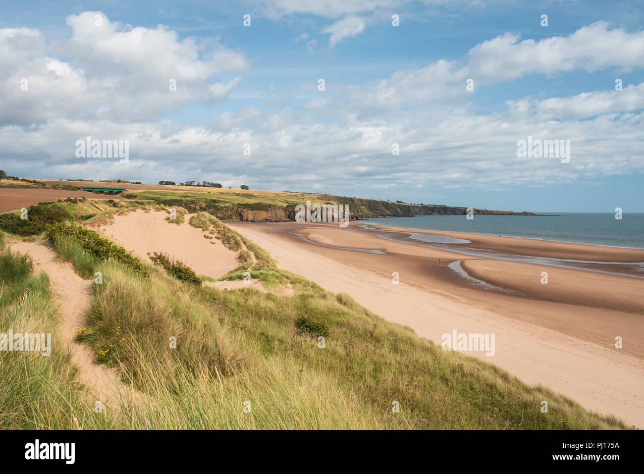 Lunan Bay beach and sand dunes, Angus, Scotland. Stock Photo