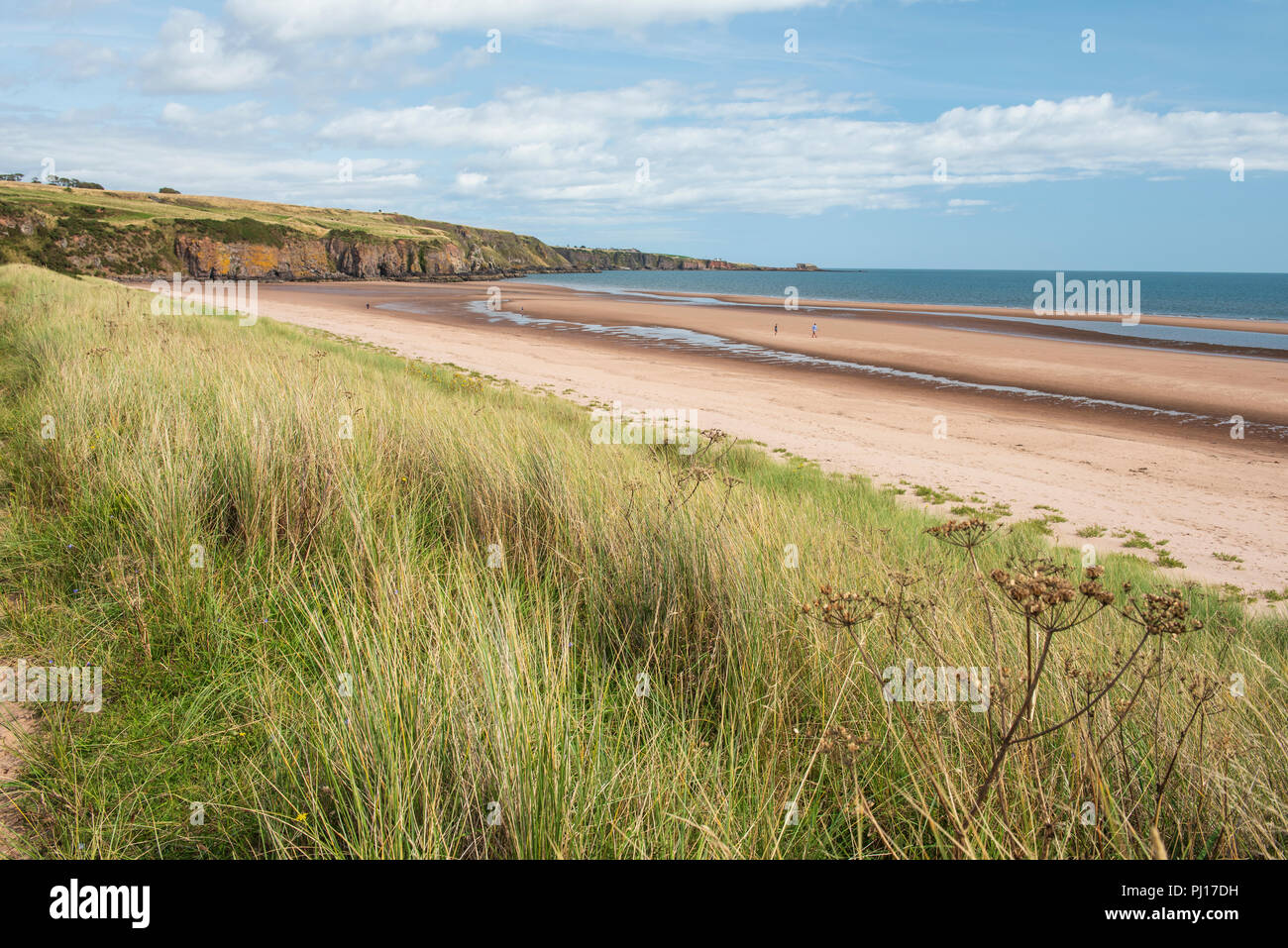 Lunan Bay beach and sand dunes, Angus, Scotland. Stock Photo