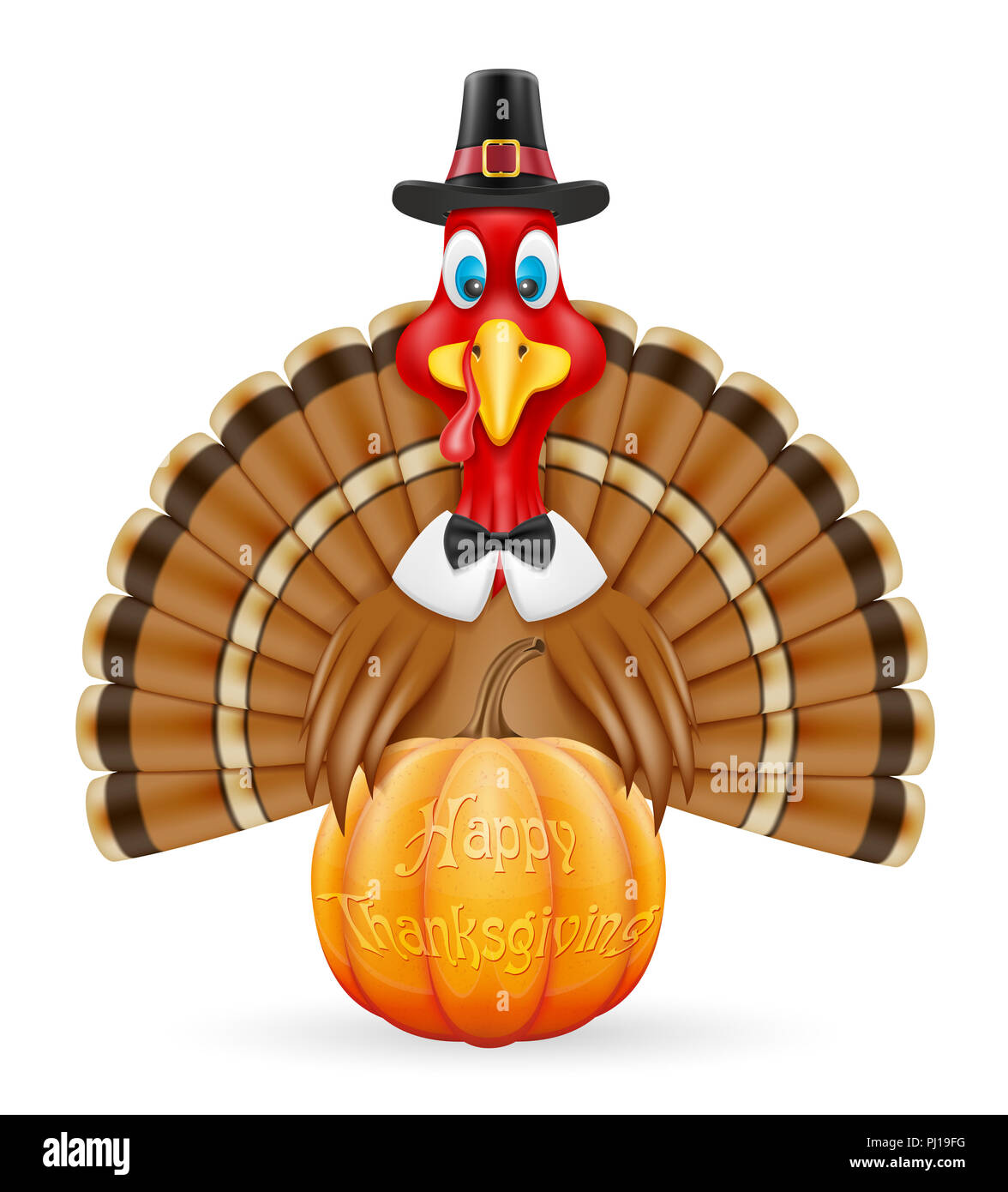 thanksgiving turkey bird vector illustration isolated on white ...