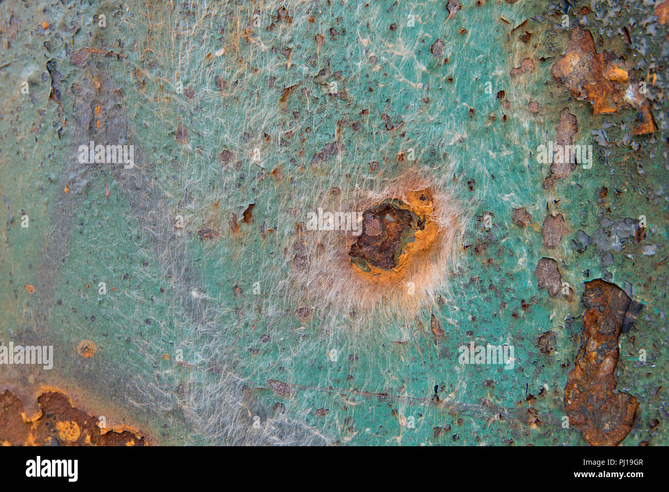 Rust on metal trash bin Stock Photo Alamy