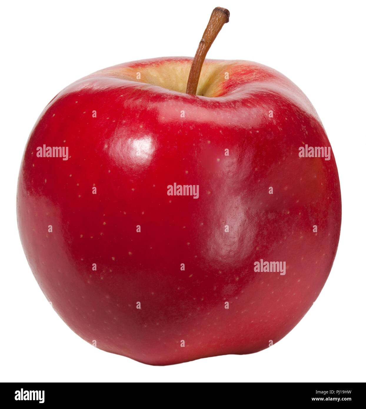 A red apple with white background. Stock Photo