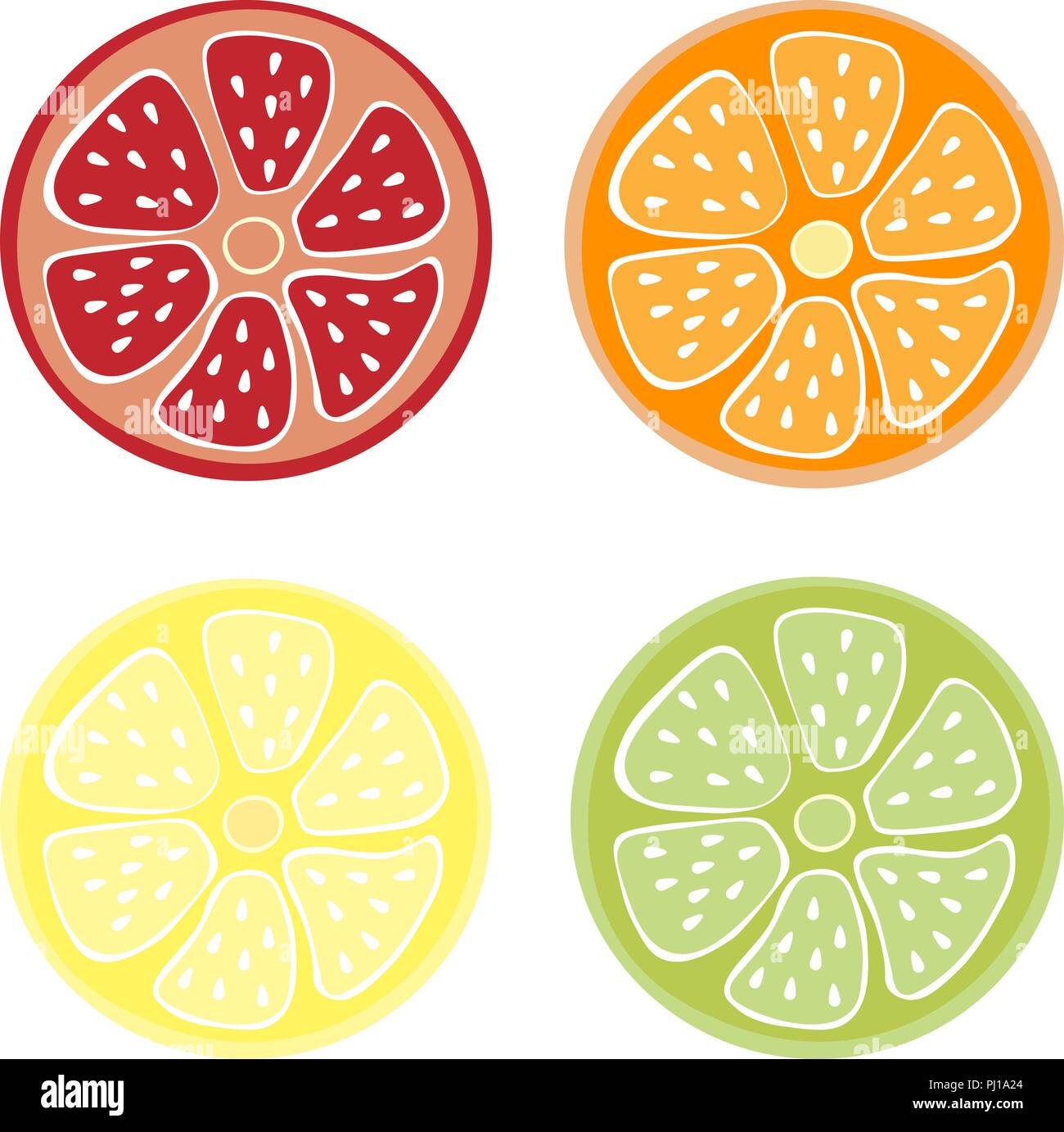 citrus group in size. Set lime, lemon, orange grapefruit pomelo Stock Vector