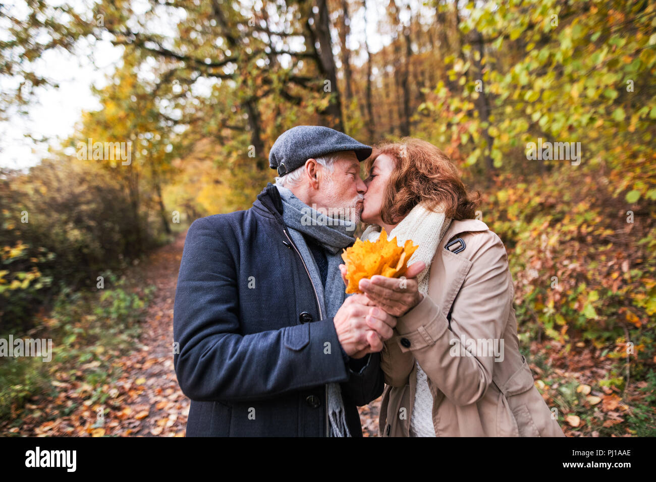 Senior couple on a walk in a forest in an autumn nature, holding leaves ...