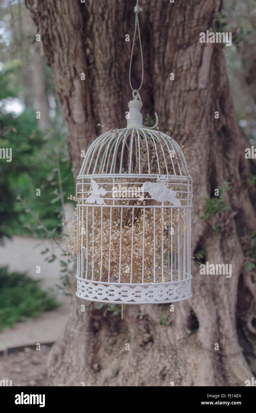 Hanging birdcage hi-res stock photography and images - Alamy