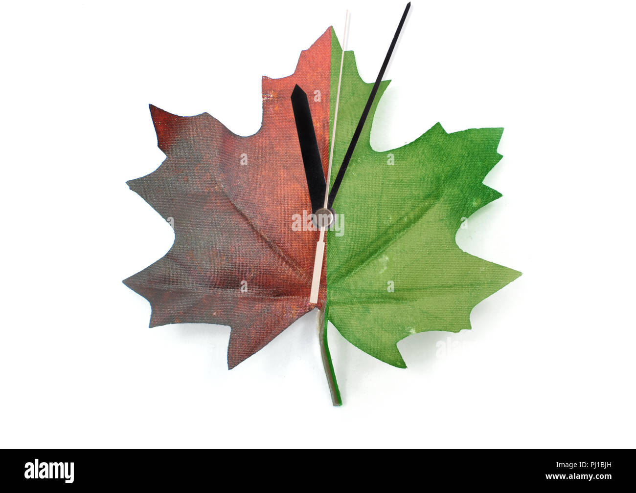 Autumn maple leaf partially green and red time change clock Stock Photo