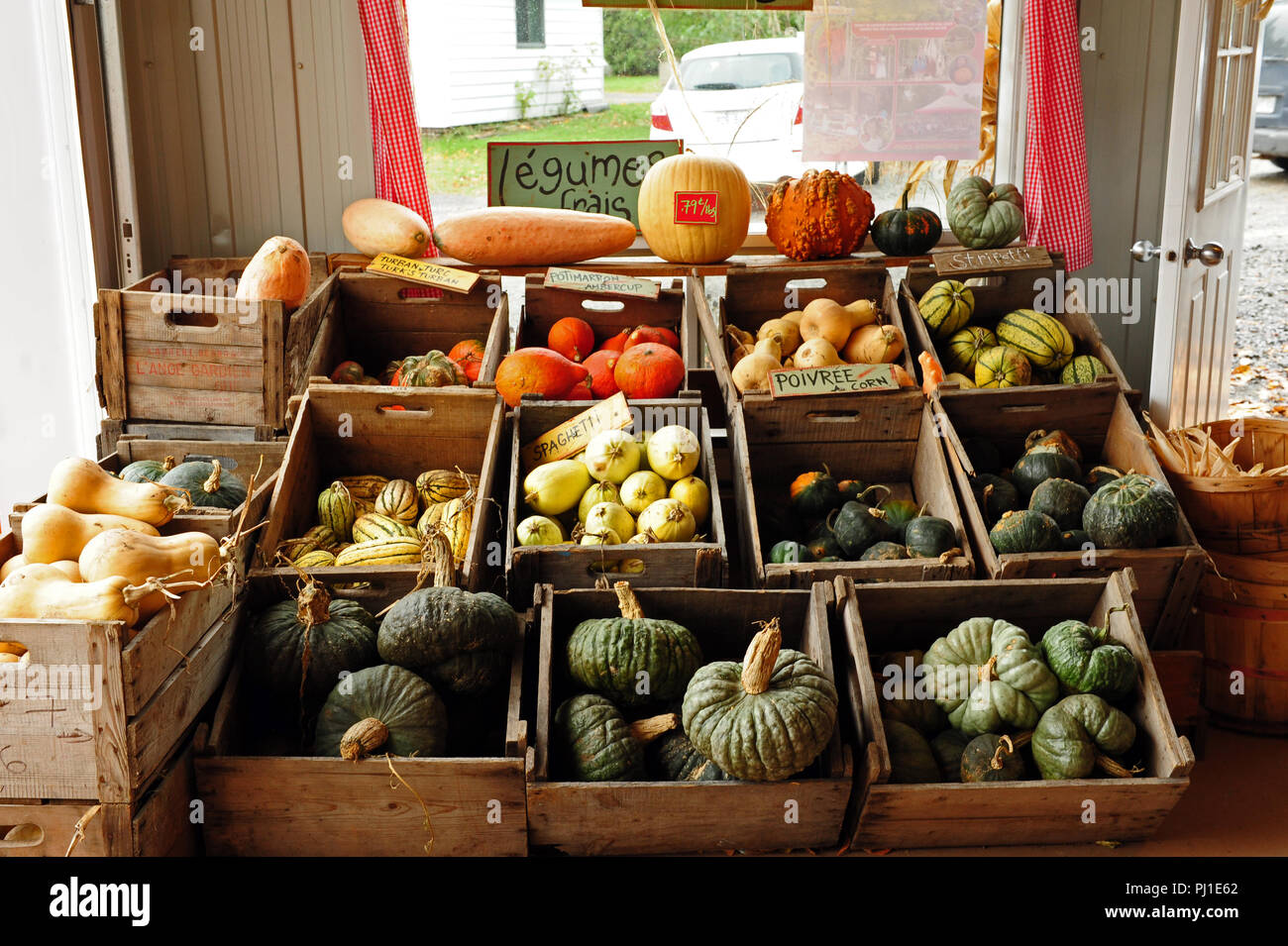 Fall squash variety vegetable stand in Quebec Stock Photo