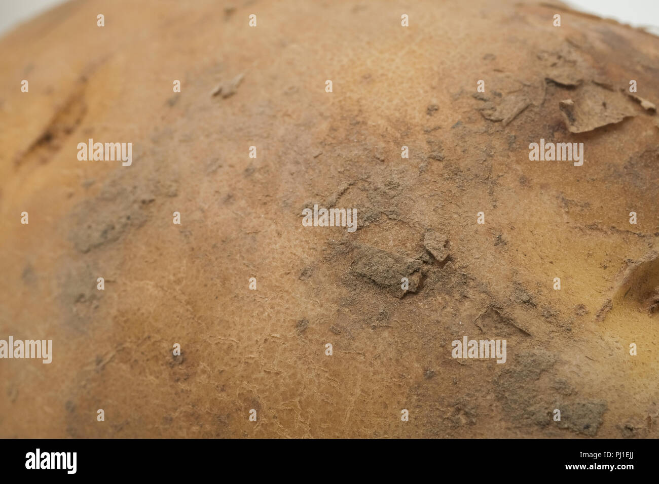 fresh potato white background Stock Photo Alamy