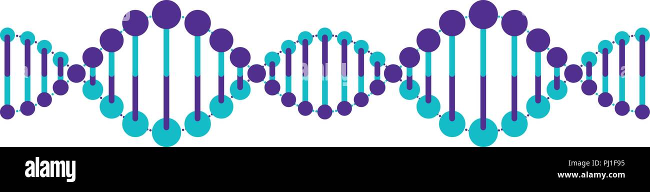 horizontal dna chain science colorful icon Stock Vector