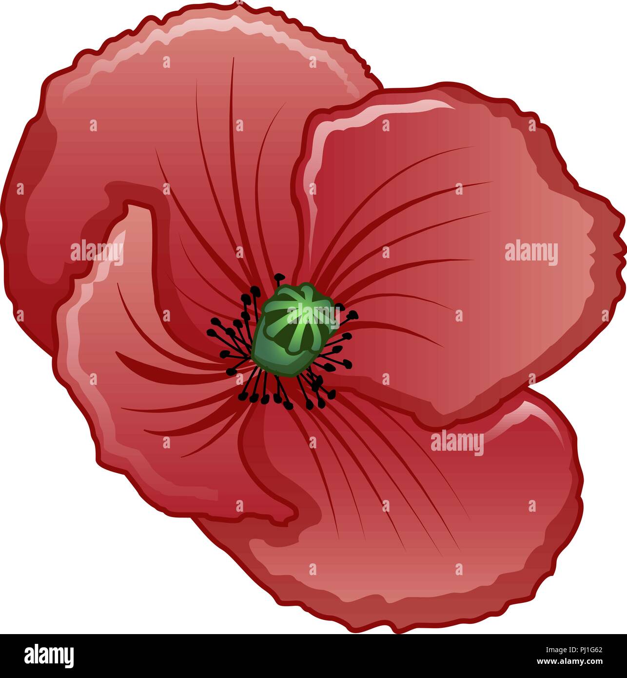 Cartoon Poppy Flower High Resolution Stock Photography And Images Alamy