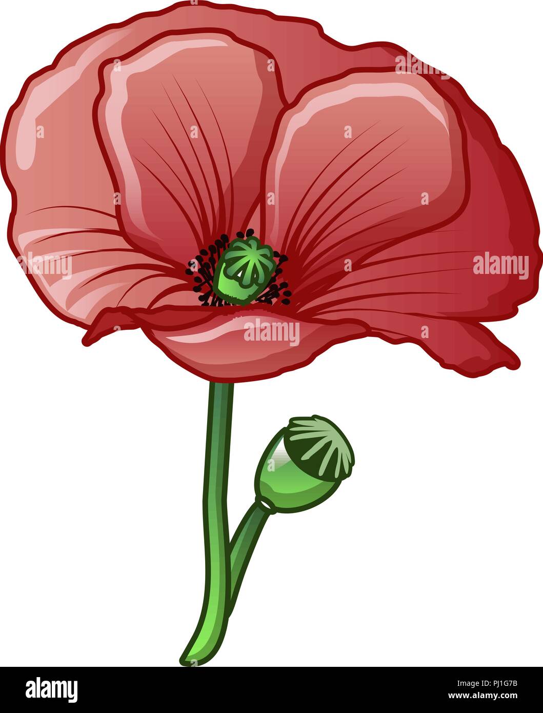 Cartoon Poppy Flower High Resolution Stock Photography And Images Alamy