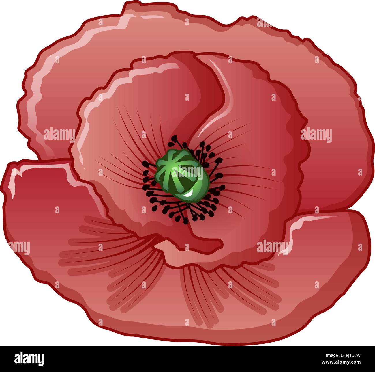 Opium Flower Icon Cartoon Style Stock Vector Image Art Alamy