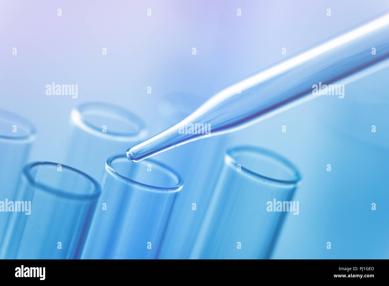 Medical science laboratory glassware, scientific equipment for researching in medicine and chemistry Stock Photo