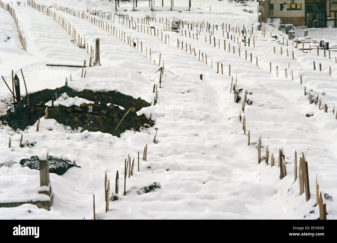4th March 1993 During the Siege of Sarajevo: a view of part of the Lion Cemetery, just below the Kosevo Hospital. Grave-diggers' shovels stand embedded in freshly dug earth among dozens of regimented wooden grave-markers in the snow. They bear the names of Muslim victims of the siege. Stock Photo