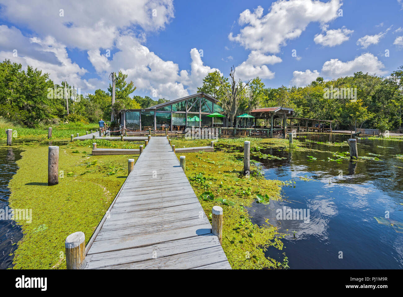 Clarks Fish Camp is a unique and rustic seafood restaurant located on Julington Creek, a tributary of the St. Johns River in Jacksonville, Florida. Stock Photo