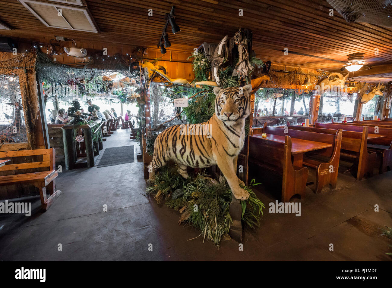 Clarks Fish Camp is a unique and rustic seafood restaurant located on Julington Creek, a tributary of the St. Johns River in Jacksonville, Florida. Stock Photo