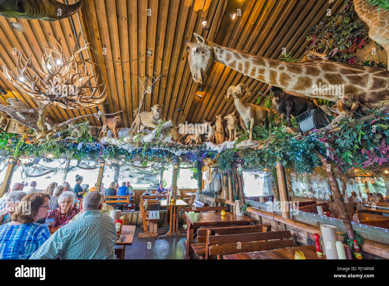Clarks Fish Camp is a unique and rustic seafood restaurant located on  Julington Creek, a tributary of the St. Johns River in Jacksonville,  Florida Stock Photo - Alamy