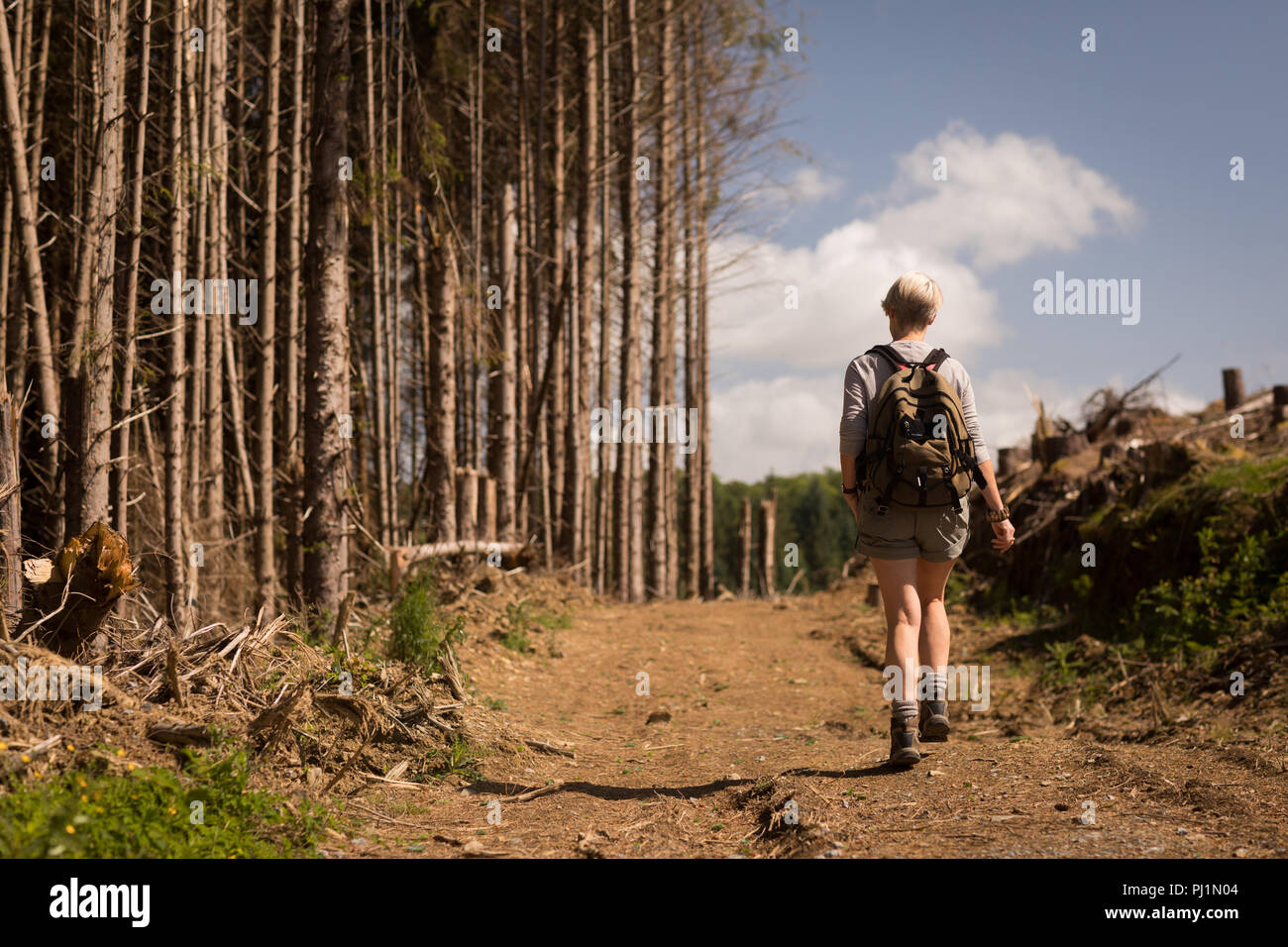 Woman walking in the forest hi-res stock photography and images - Alamy