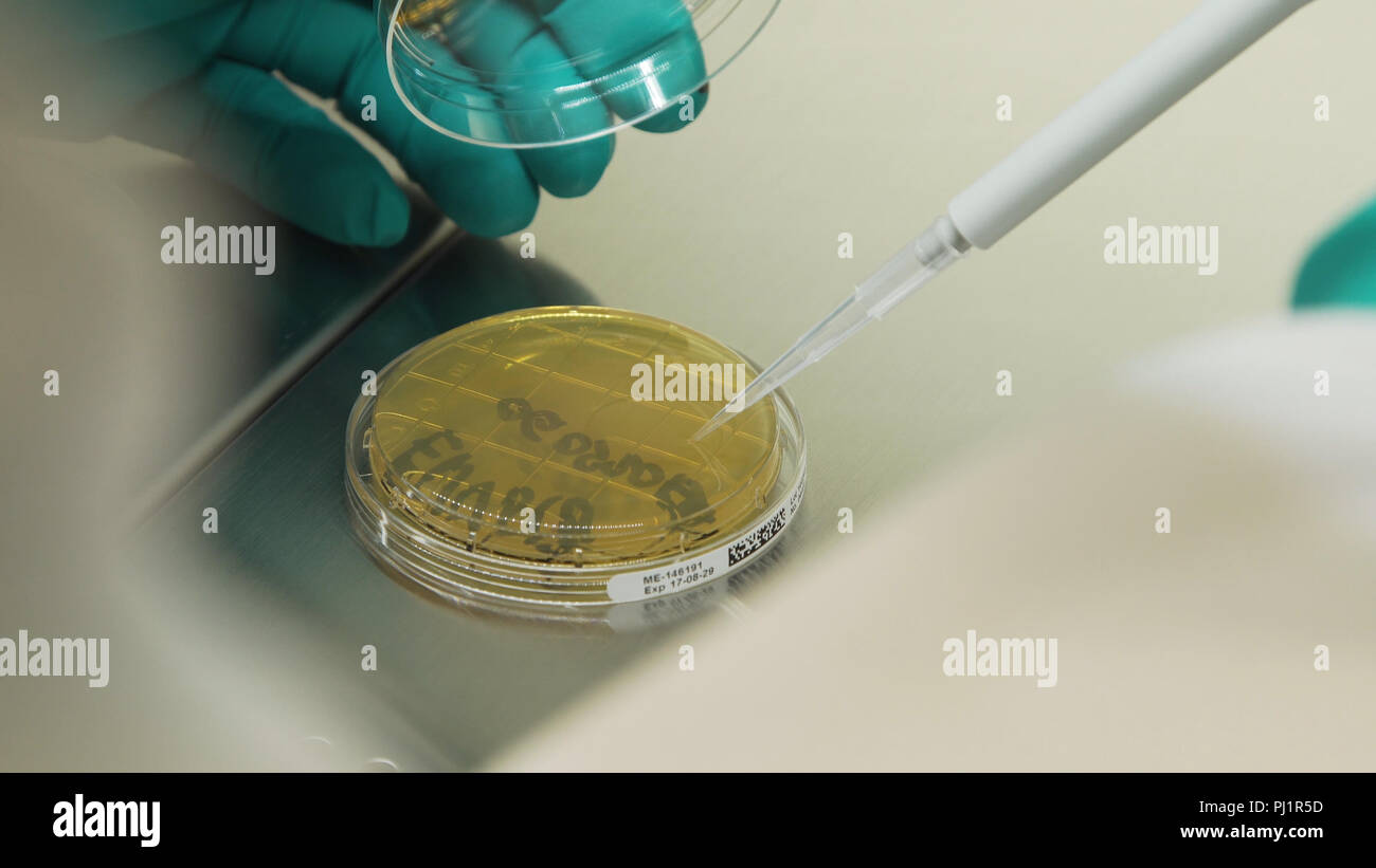 Microbiologist is conducting research and doing tests with biological