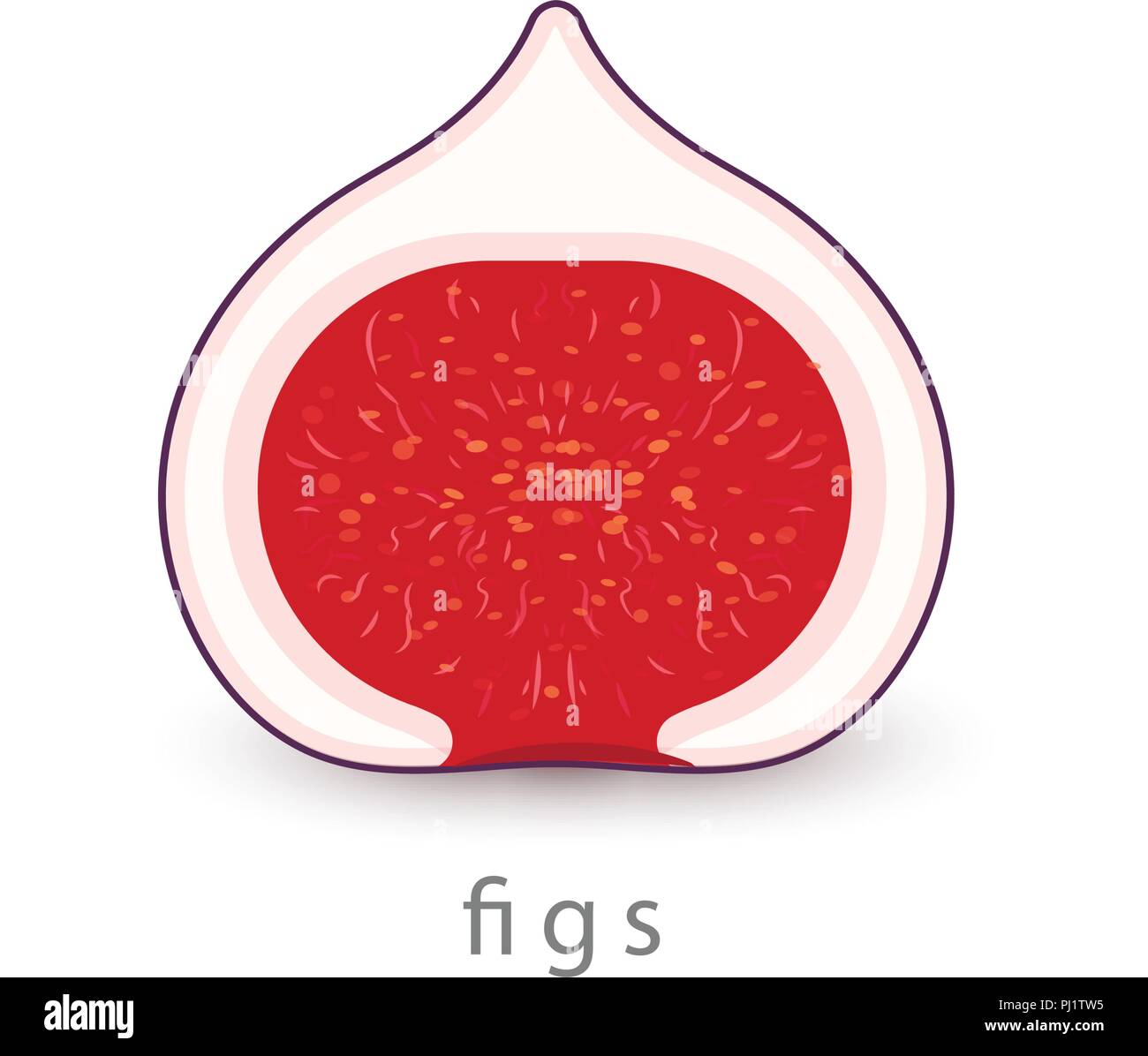 Figs simple icon. Vegan logo template, minimalism style. Half bush ...