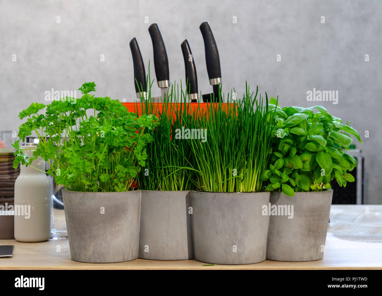 fresh herbs and knifes on table in front of grey background Stock Photo