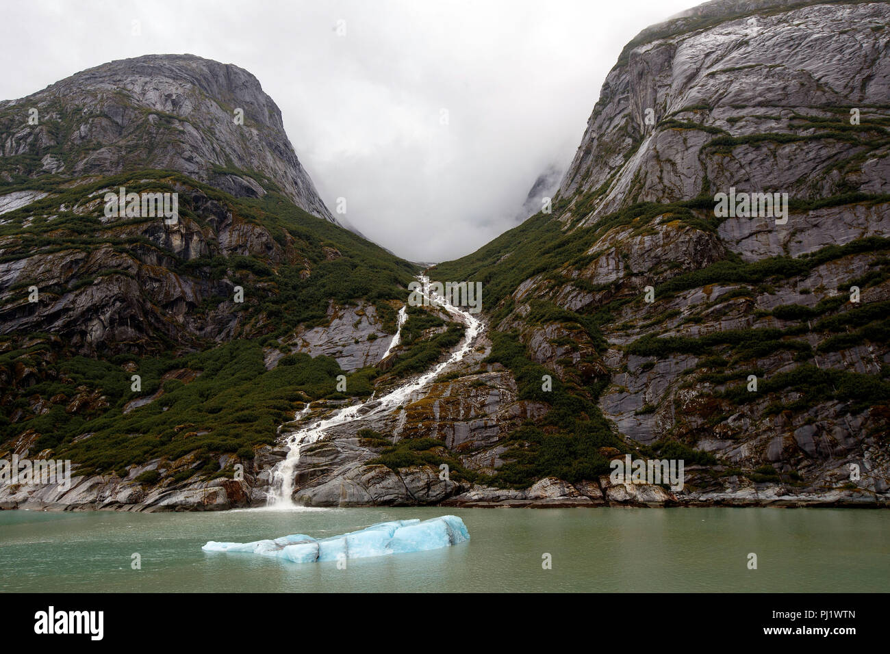 Mountain stream empties near an iceberg, Tracy Arm Fjord, Tracy Arm