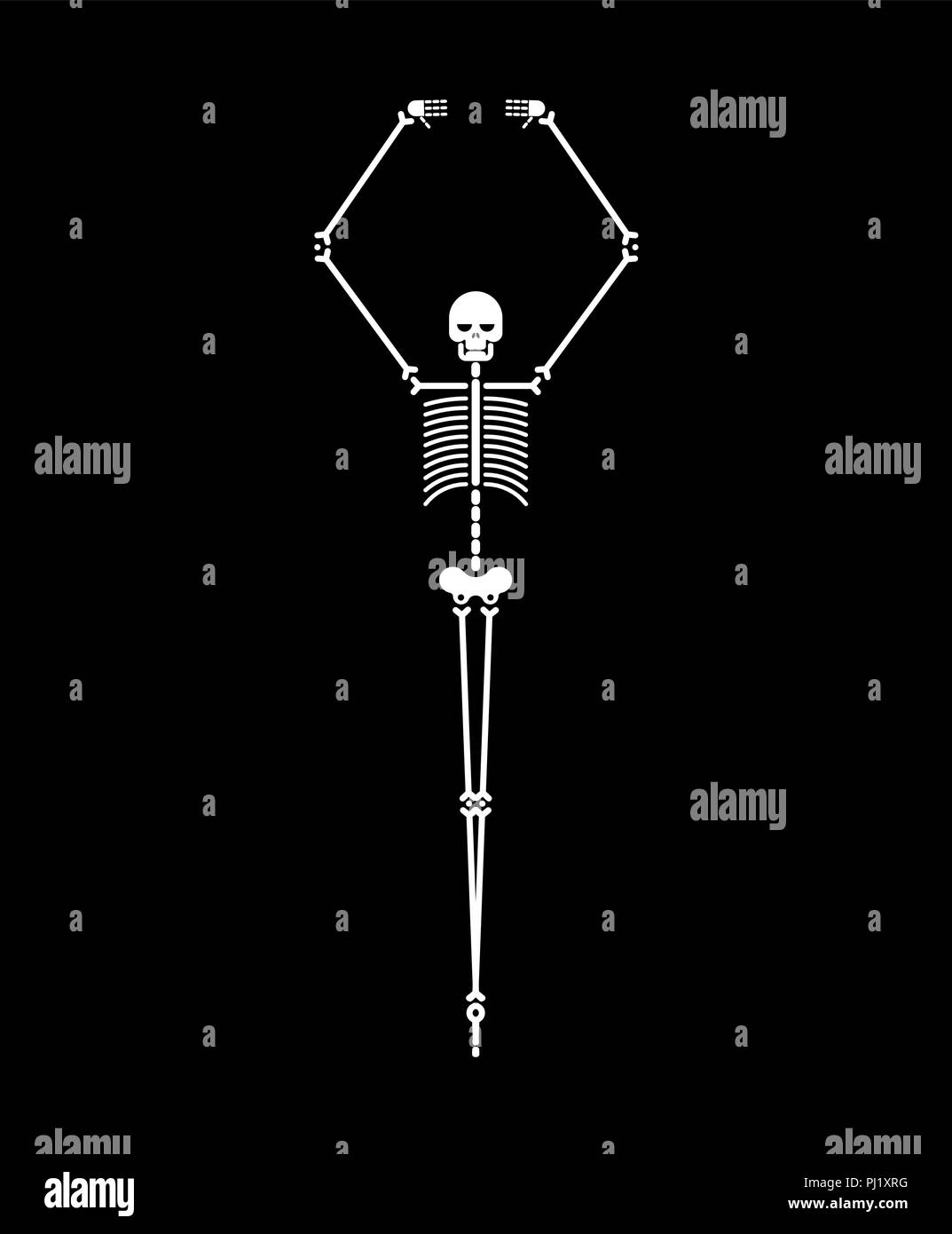 Skeleton ballerina isolated. Skull and bones ballet. Halloween Vector ...