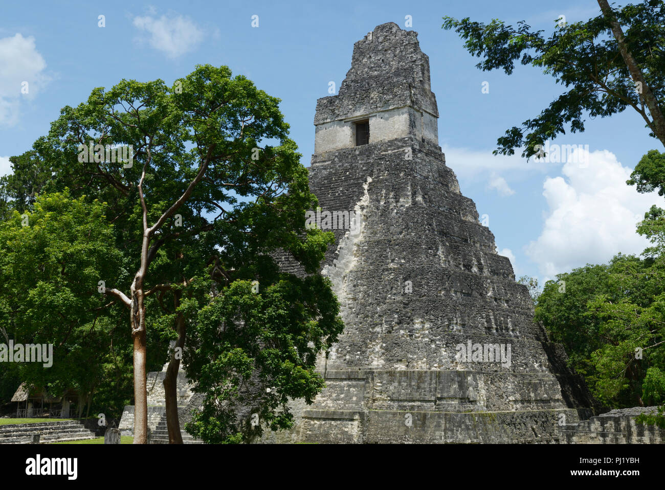 Tikal, Mayan ruins, Guatemala with Temple 1 Stock Photo