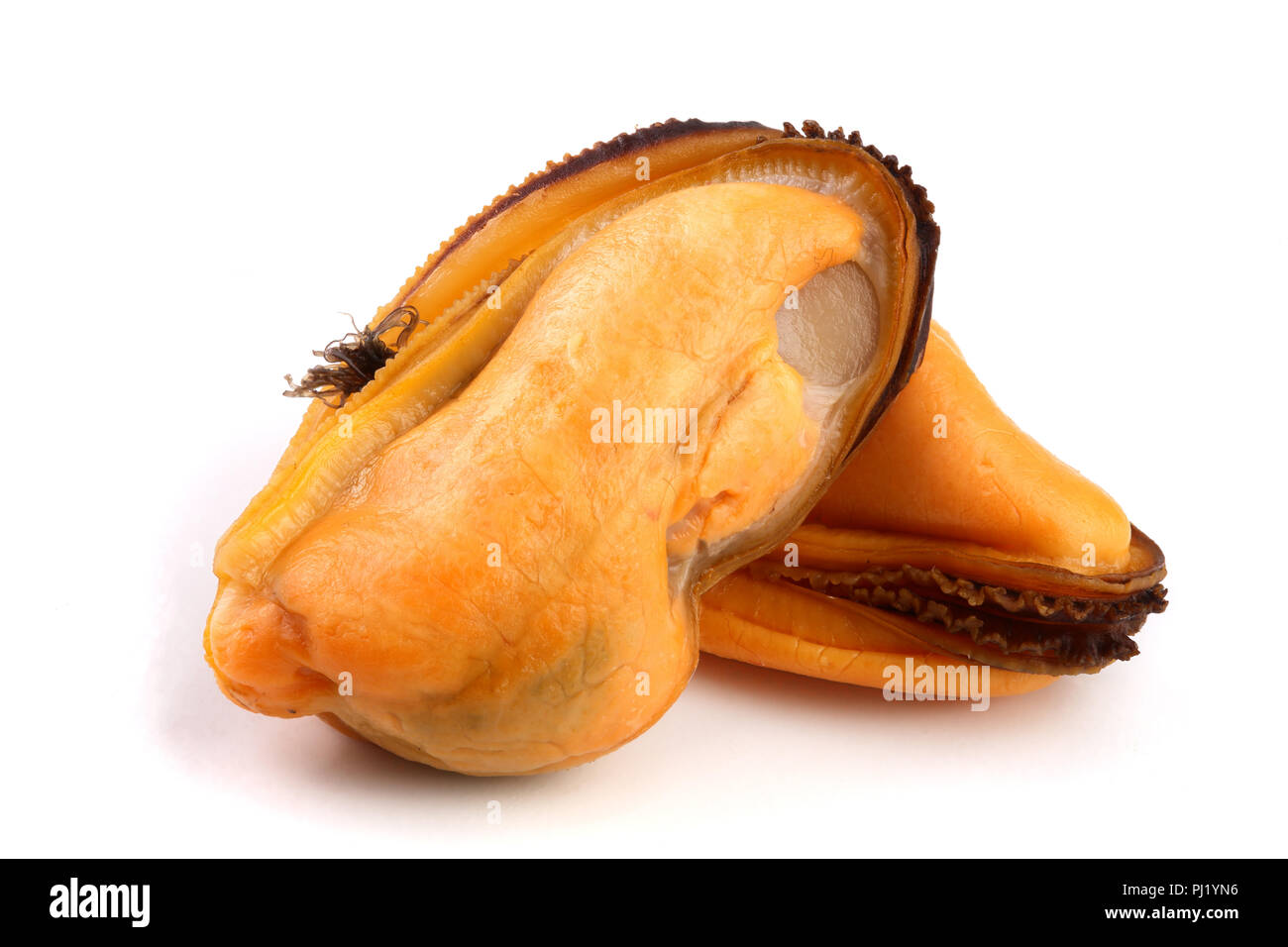 two mussel without shell isolated on white background Stock Photo Alamy