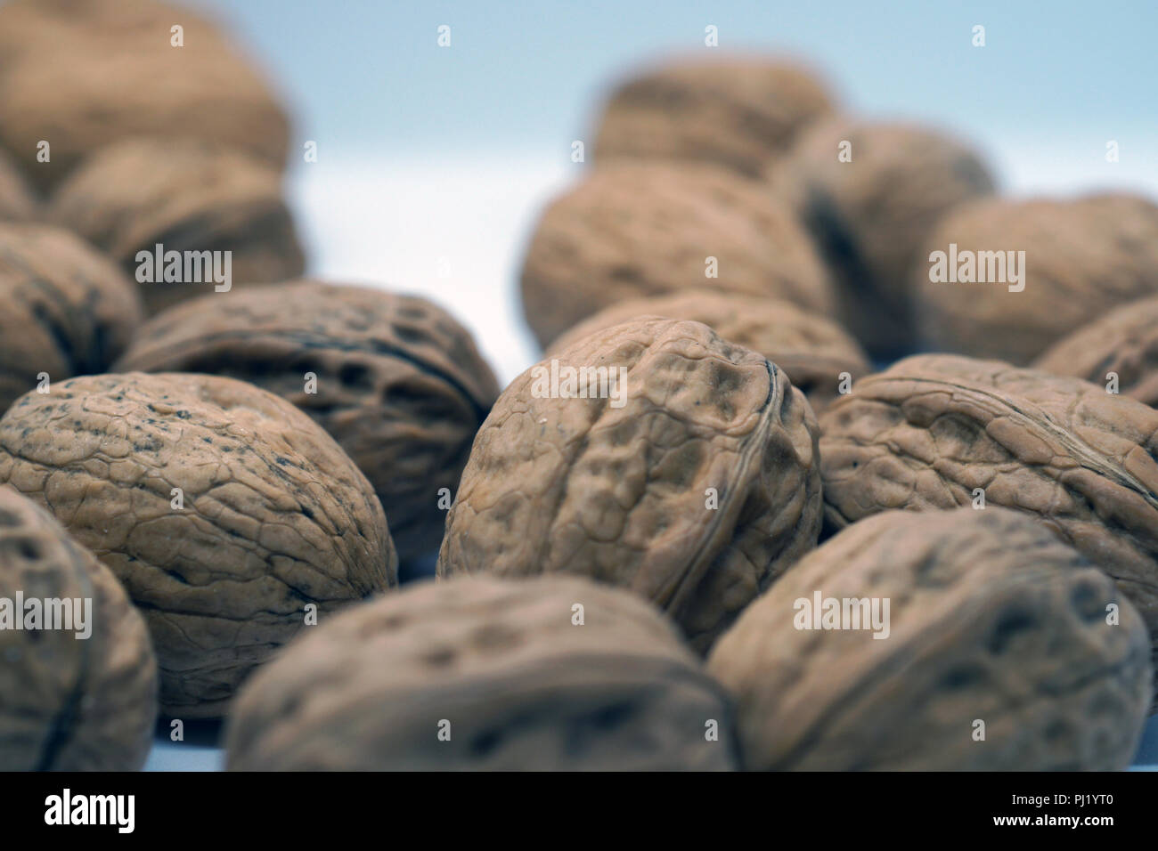 hard dry walnuts Stock Photo