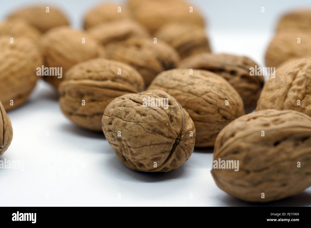 hard dry walnuts Stock Photo Alamy