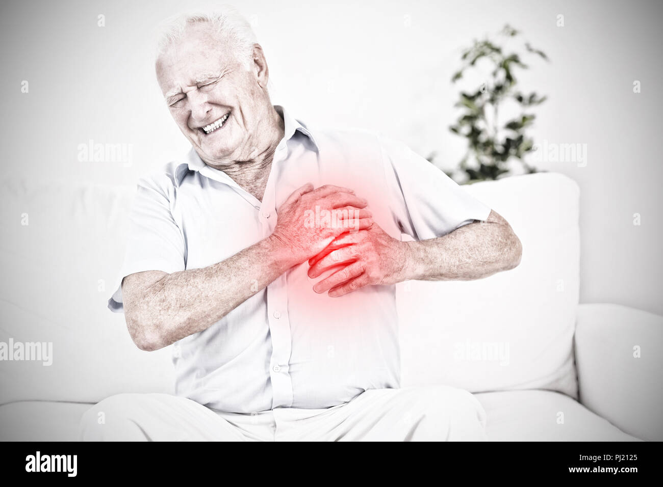 sick old man clutching his chest with pain heart attack MR#556 Stock Photo  - Alamy