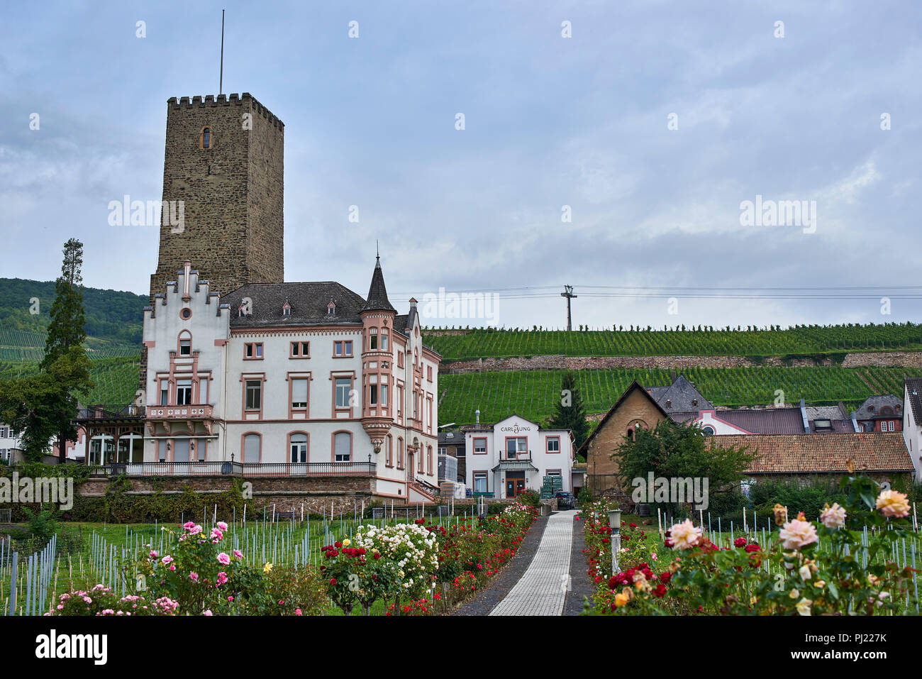 Boosenberg Castle Tower (12th century) and neo-gothic residence built in the 19th century, Rüdesheim am Rhein Stock Photo