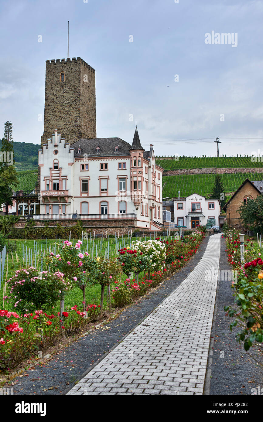 Boosenberg Castle Tower (12th century) and neo-gothic residence built in the 19th century, Rüdesheim am Rhein Stock Photo