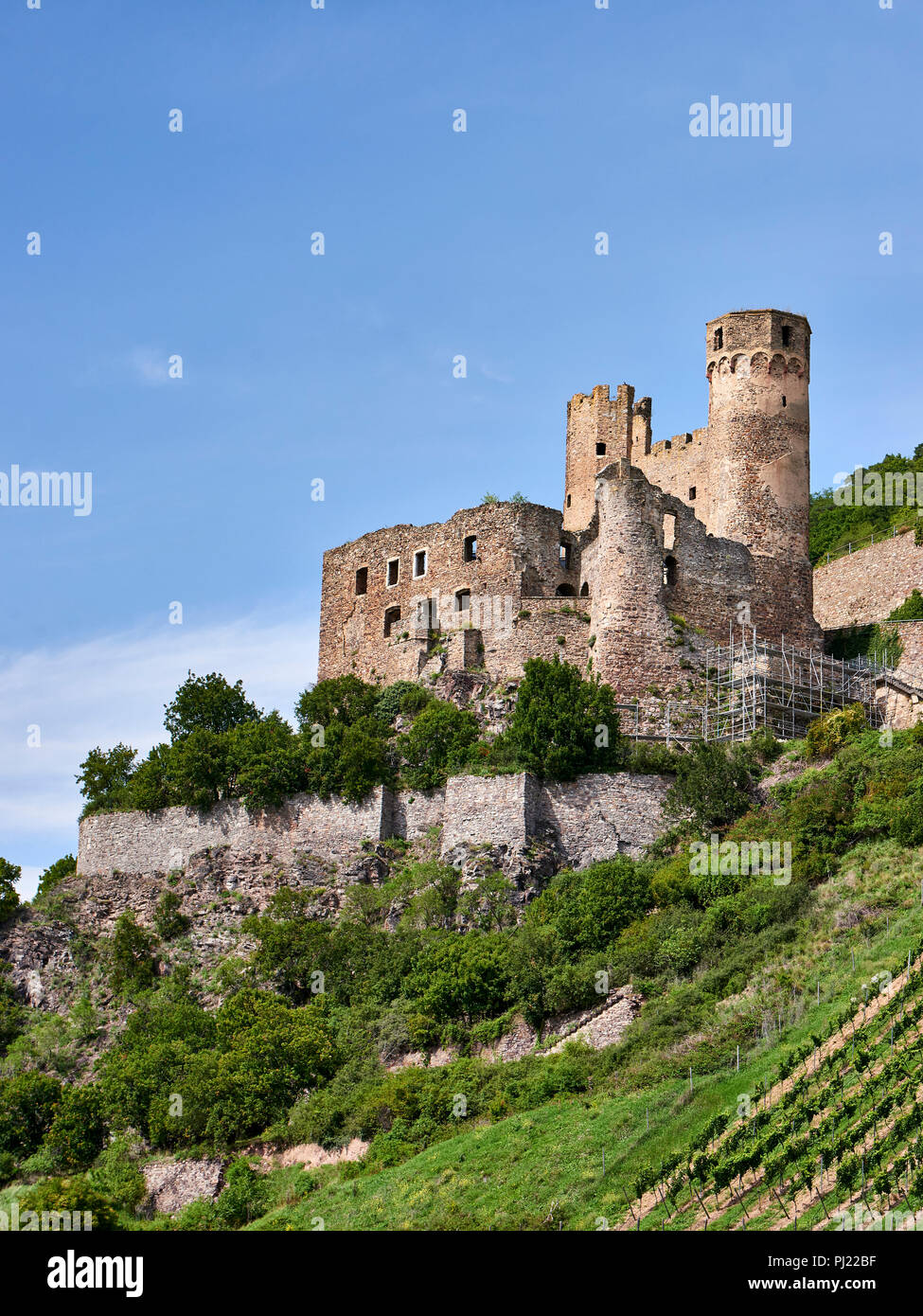 Ehrenfels Castle (Schloss) near Bingen am Rhein on the Rhine river Stock Photo
