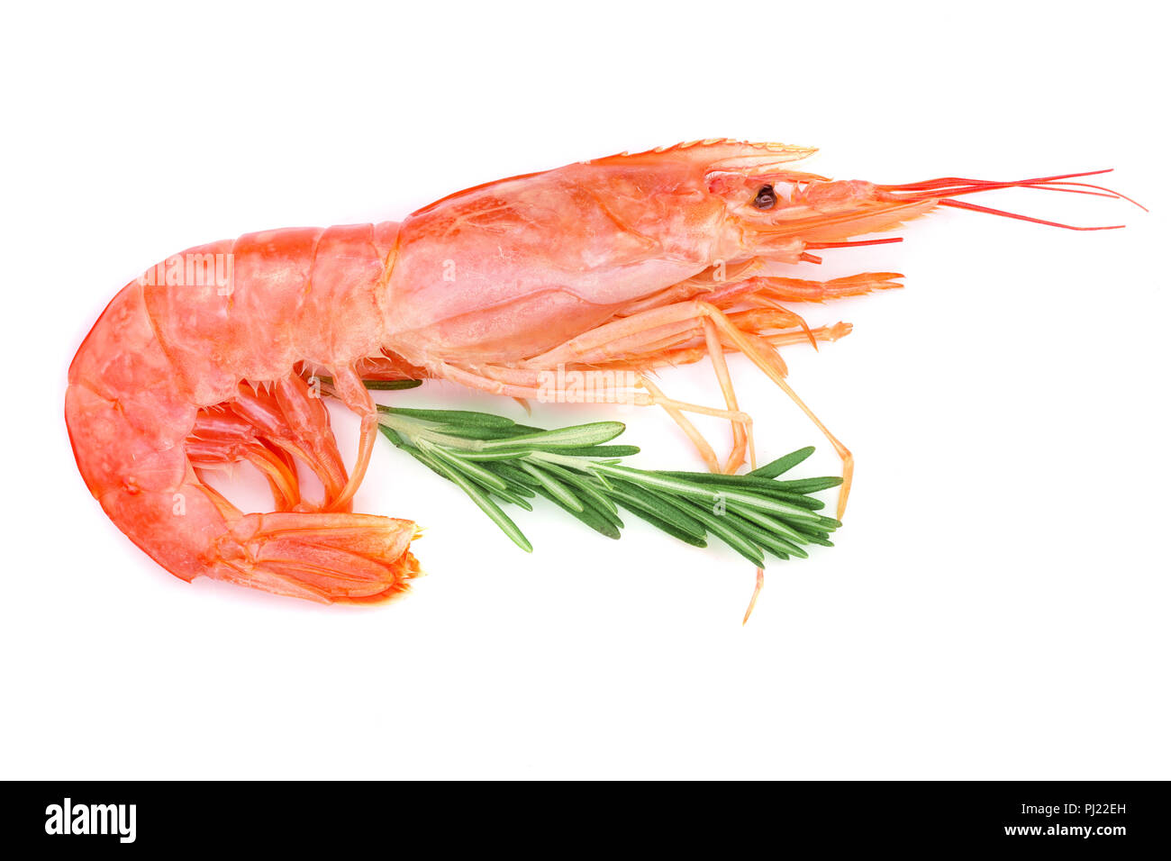 Red cooked prawn or shrimp with rosemary isolated on white background. Top view. Stock Photo