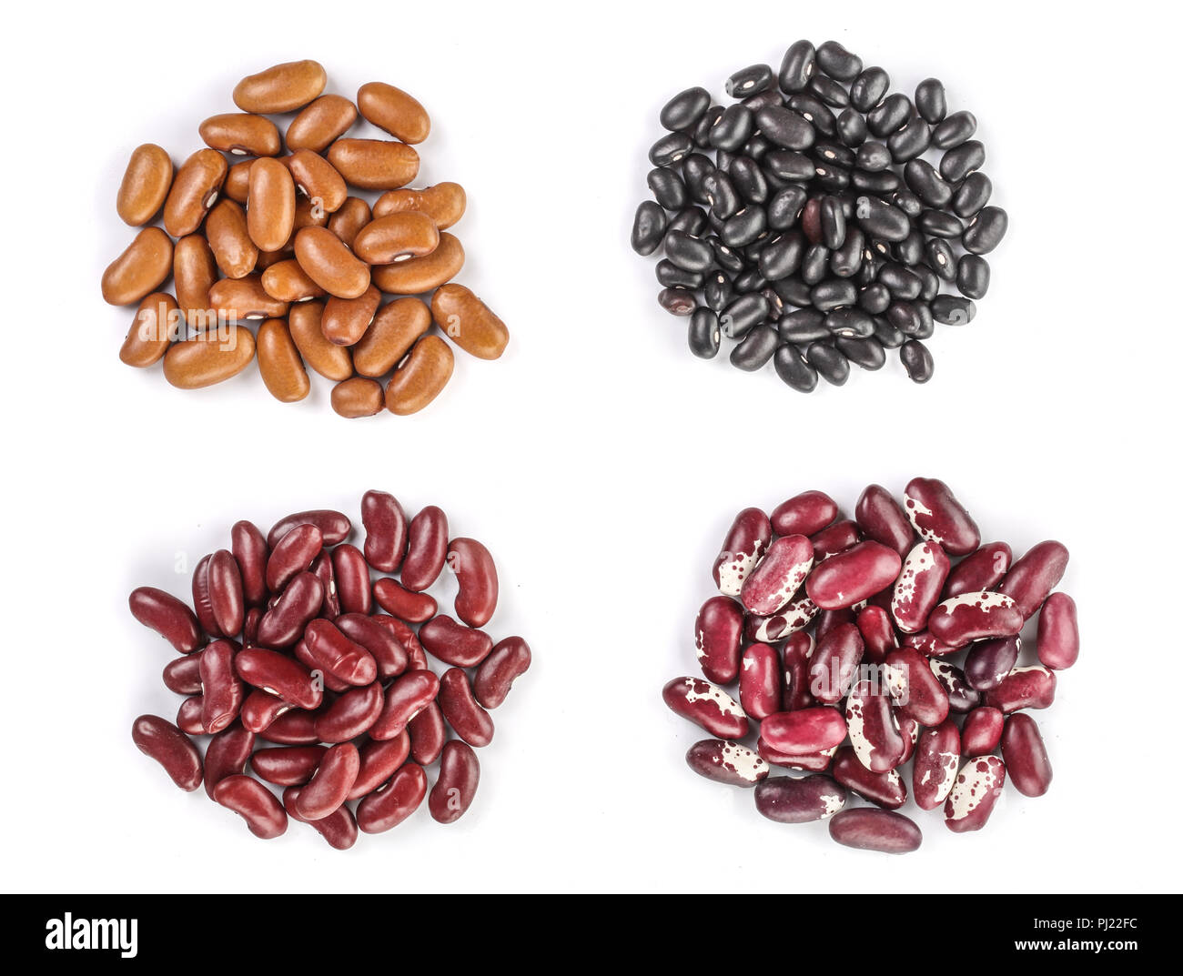 Collection set of Various dried kidney legumes haricot beans, close up isolated on white background. Stock Photo