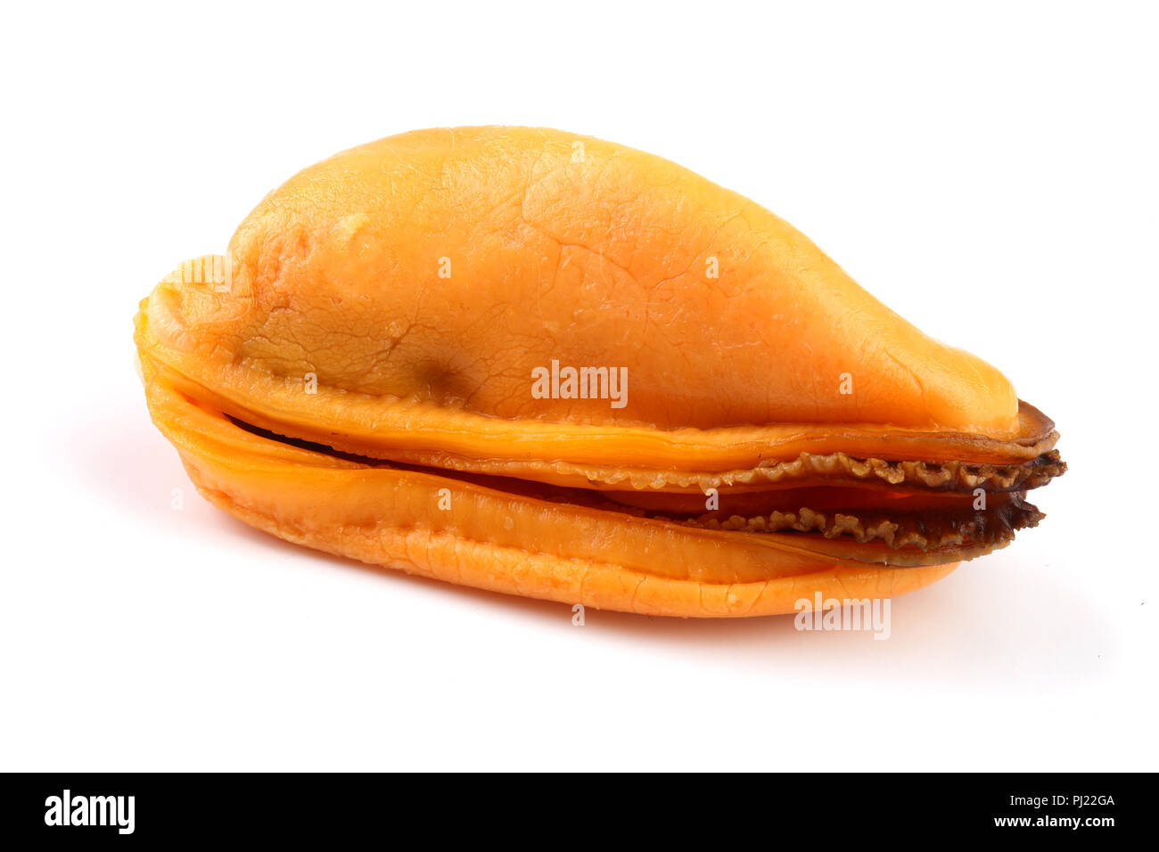 One mussel without shell isolated on white background Stock Photo Alamy