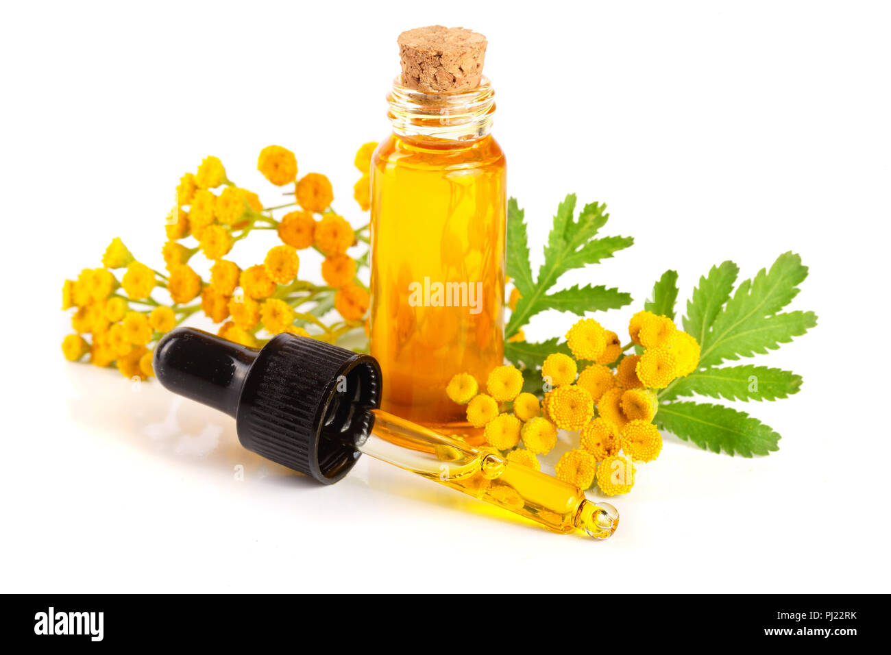 essential tansy oil with flowers and leaf isolated on white background. Stock Photo