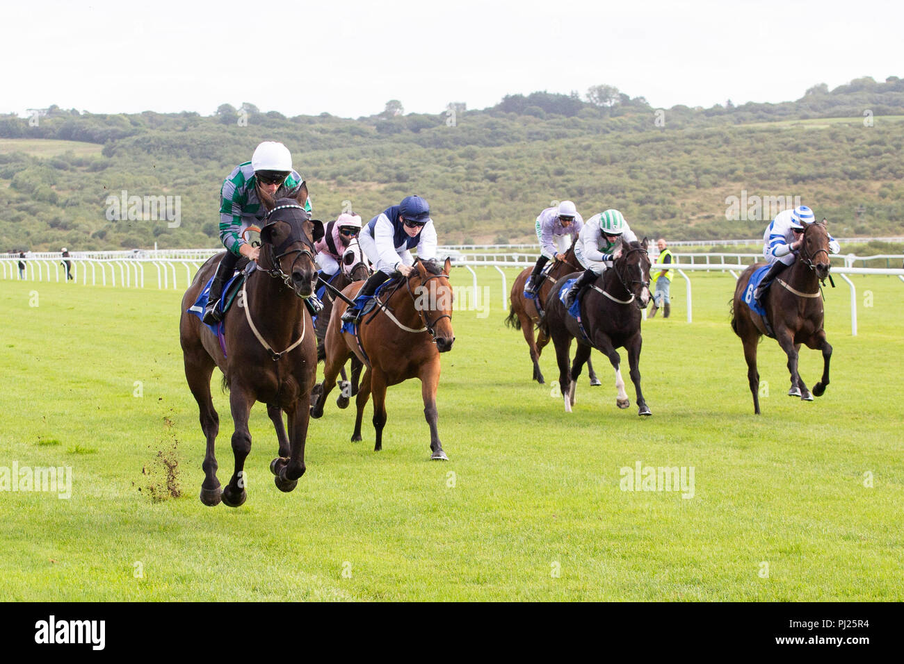 Racehorse Captain Lars (L) ridden by jockey Edward Greatrex on the way to winning a race at Ffos Las racecourse Stock Photo