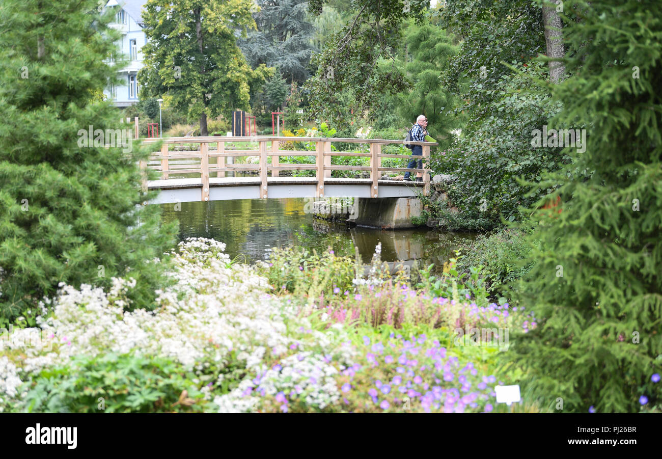 03.09.2018, Hesse, Bad Schwalbach: Visitors walk over a bridge on the grounds of the State Garden Show. The Taunus City will host the State Garden Show until 7 October. Photo: Arne Dedert/dpa Stock Photo