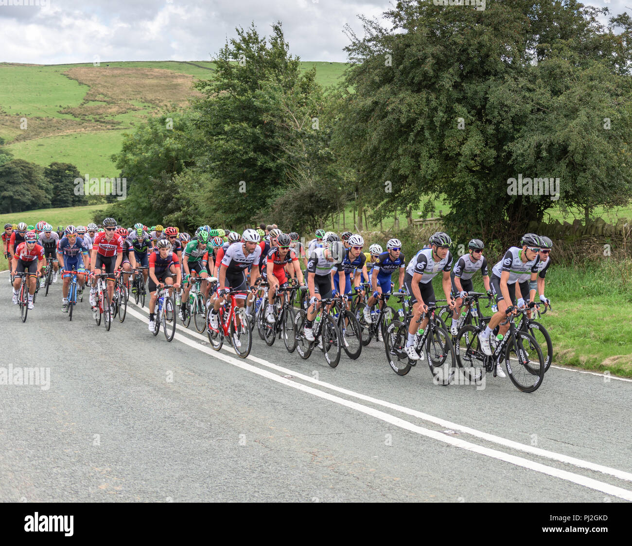 2016 Tour of Britain cyclists riding towards Macclesfield, Cheshire Stock Photo