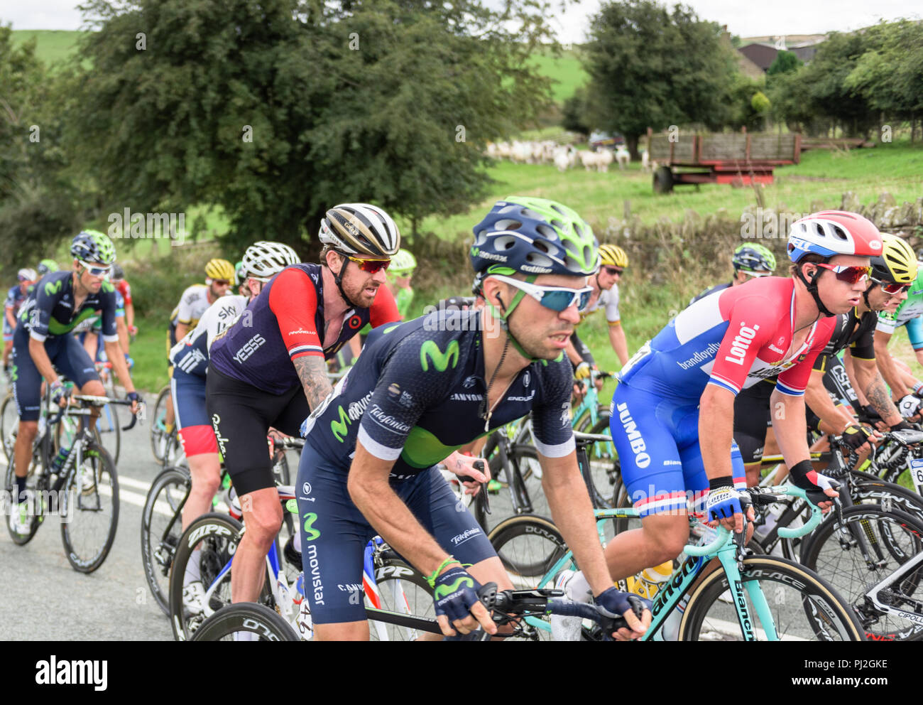 Team wiggins hi res stock photography and images Page 2 Alamy
